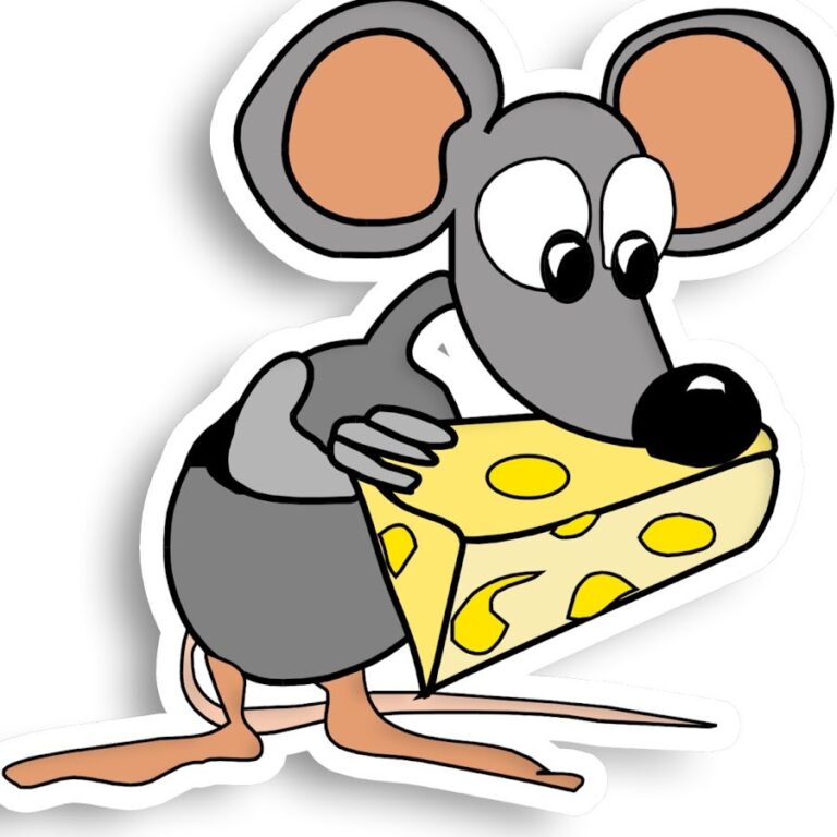 MOUSE AND CHEESE